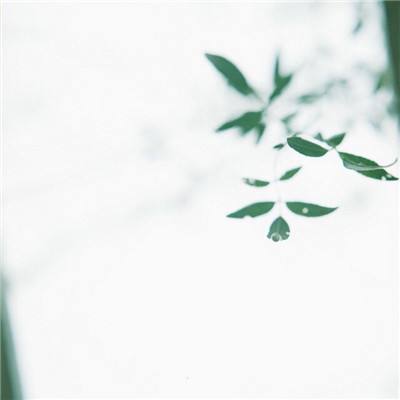 遥远寻踪3北极逃生手游下载